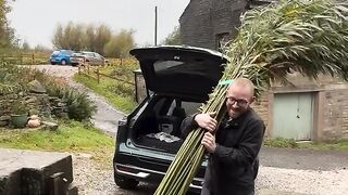 Plantdaddyuk