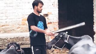 #Funny #video! #viralvideo #funny #hindi #viral 9