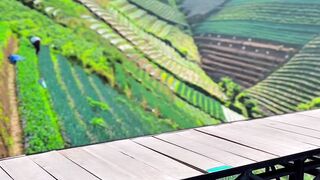 More than just a photo spot, it’s a place to slow down, appreciate nature, and admire the hard work of local farmers. 🌱🙏
