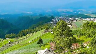 Nepal Van Java — A Little Taste of Nepal in Central Java! 🏔️✨