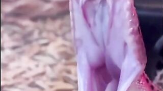#Funny #video! #viralvideo #funny #hindi #viral 22