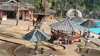 Tempat Rekreasi liburan kolam renang