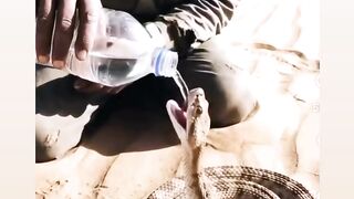 #Funny #video! #viralvideo #funny #hindi #viral 34