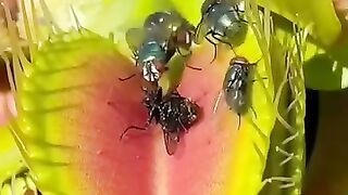 #Funny #video! #viralvideo #funny #hindi #viral 44
