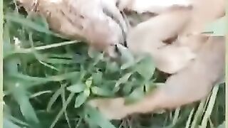 #Funny #video! #viralvideo #funny #hindi #viral 47