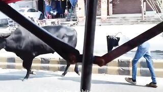 #Funny #video! #viralvideo #funny #hindi #viral 50