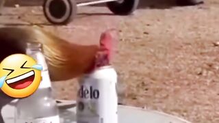 #Funny #video! #viralvideo #funny #hindi #viral 56