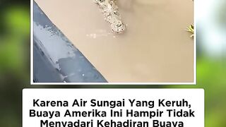Kaget wak