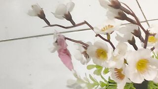 Beautiful bonsai flowers