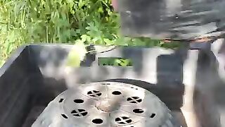 Sweet potato farming 02