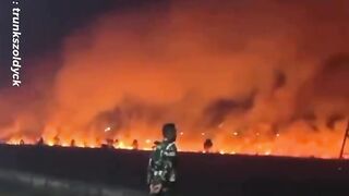 Dipicu Bakar Sampah, Karhutla di Penajam Paser Utara Mengamuk dan Hanguskan Belasan Hektare Lahan!