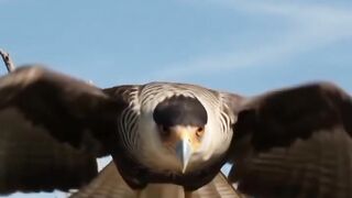 Os mistérios da natureza