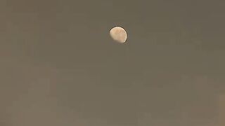 Moon day