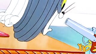 Jerry & Canary Defeat Tom | Kitty Foiled Classic Cartoon Action