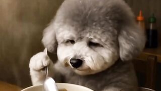 Funny Dog