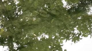 Sungai ini banyak ikannya