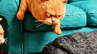 Orange Cat vs baby 😅😅
