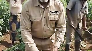 Want Bigger Cassava Roots