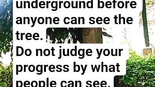 Inspirational 16