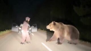Bear attack