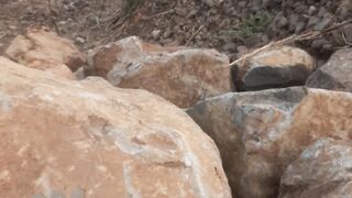 Sandstone blocks are suitable for building foundations
