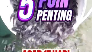5 Poin penting agar 15 hari pertama aman tanpa masalah