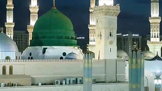 Mufti Salik Amjadi