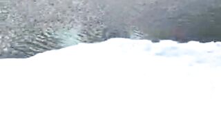 Giant Whales Move Into Greenland Waters As Ice Disappears