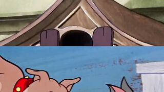 Tom Regrets Chasing Jerry | Spike the Bulldog Beatdown | Classic Cartoon Comedy
