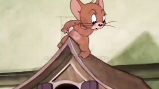Professional Mouse Exterminator vs Jerry | Hilarious Cartoon Traps & Fails