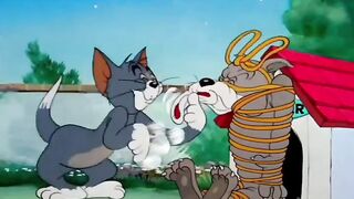 Tom Ties Up Spike for a Bass Serenade | Tom & Jerry Romantic Comedy Scene