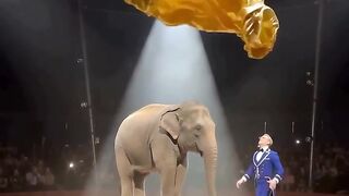 New Magic Video