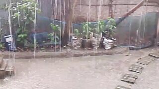 বেগুনের চপ