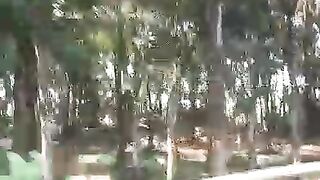 The road passes through the shady kabon trees