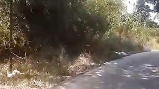 A road crowded with bamboo bushes