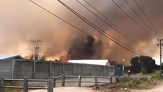 The current situation in Kalimantan
