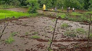 Green Bhumi