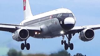 ✈️AIRBUS A319 BEA RETRO LIVEY | SMOOTHEST LANDING