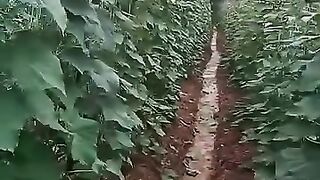Perawatan 3