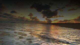 Sea cinematic video shorts