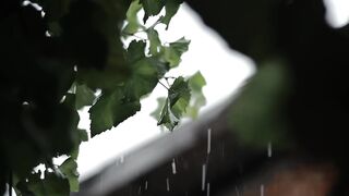 Rain cinematic video shorts