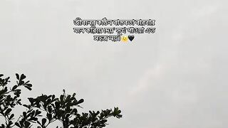 ক্যাপশন 2
