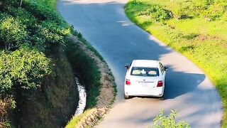 mitringa tea graden,komolgonj