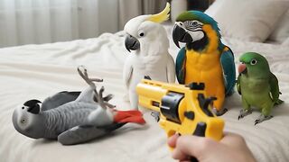 Comic parrots