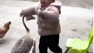 Kid an the duck