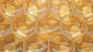 Honeycomb Glowing Like Stained Glass | Premium Golden Backlight Macro