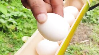 Roasting egg in bamboo