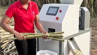 How to make sugar from sugarcane  in rural village