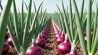 Fresh onion on garden