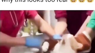 Why this look so real 🤣🤣🤣🤣